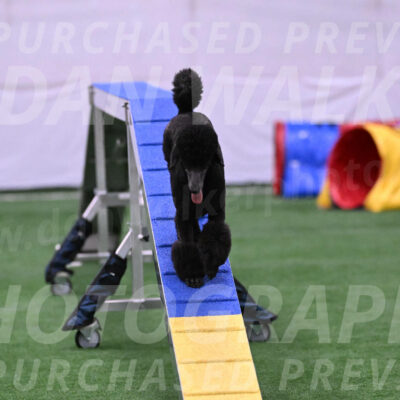 Finn-Madison-Canton-23033