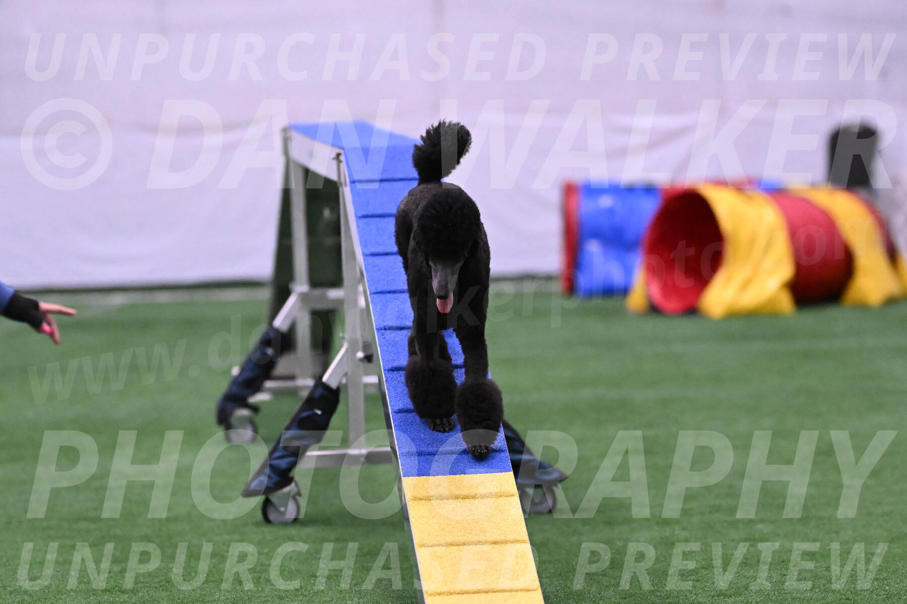Finn-Madison-Canton-23034