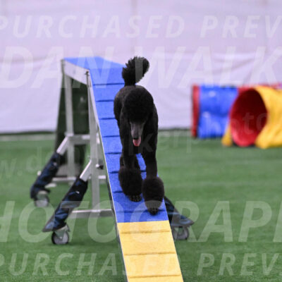 Finn-Madison-Canton-23034