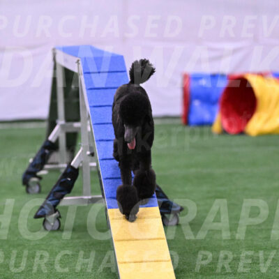 Finn-Madison-Canton-23036