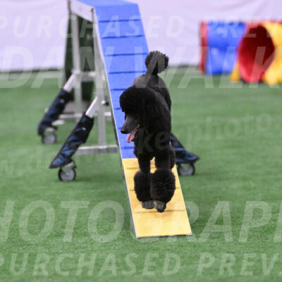 Finn-Madison-Canton-23041