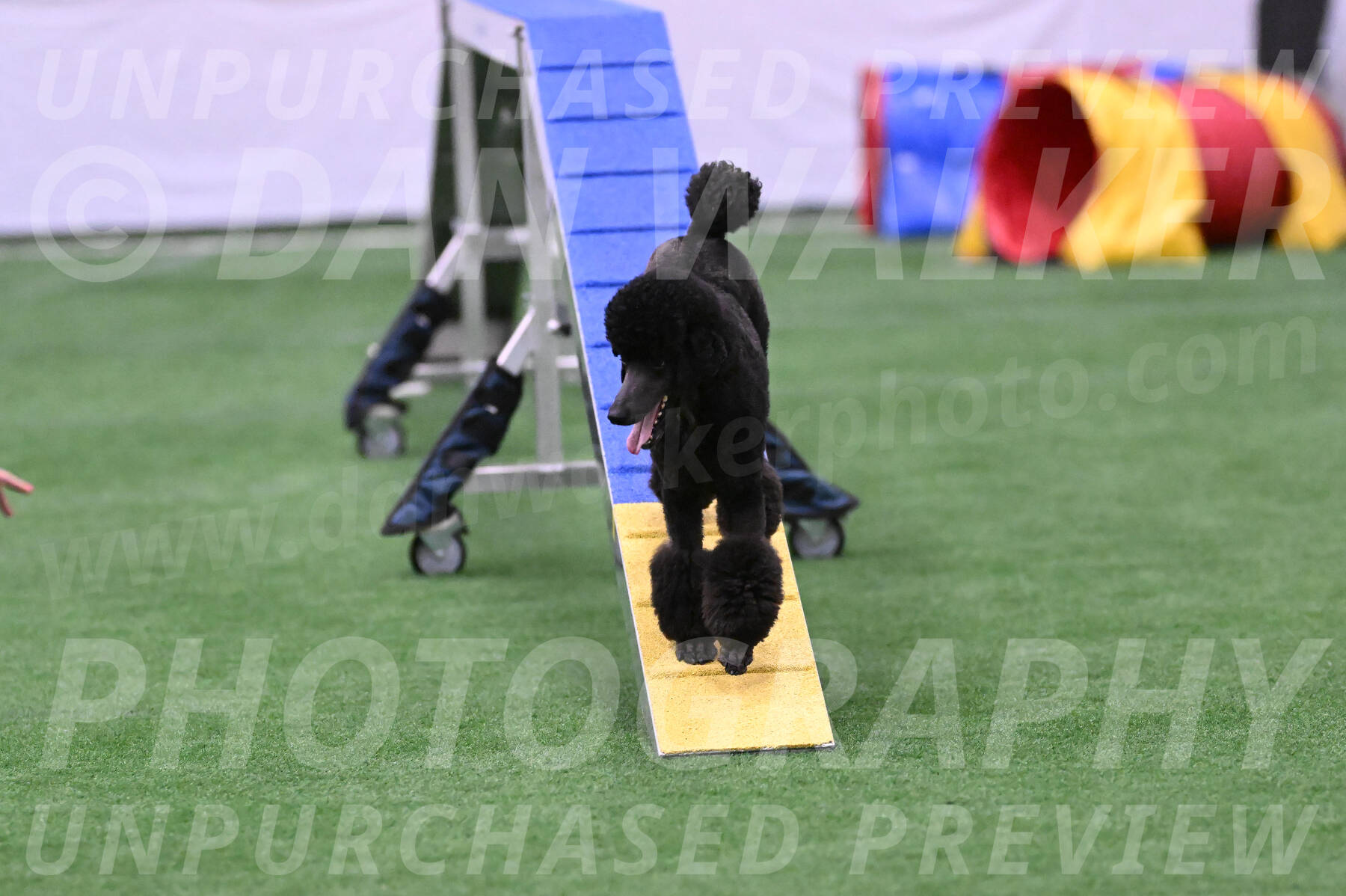 Finn-Madison-Canton-23041