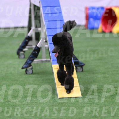 Finn-Madison-Canton-23042