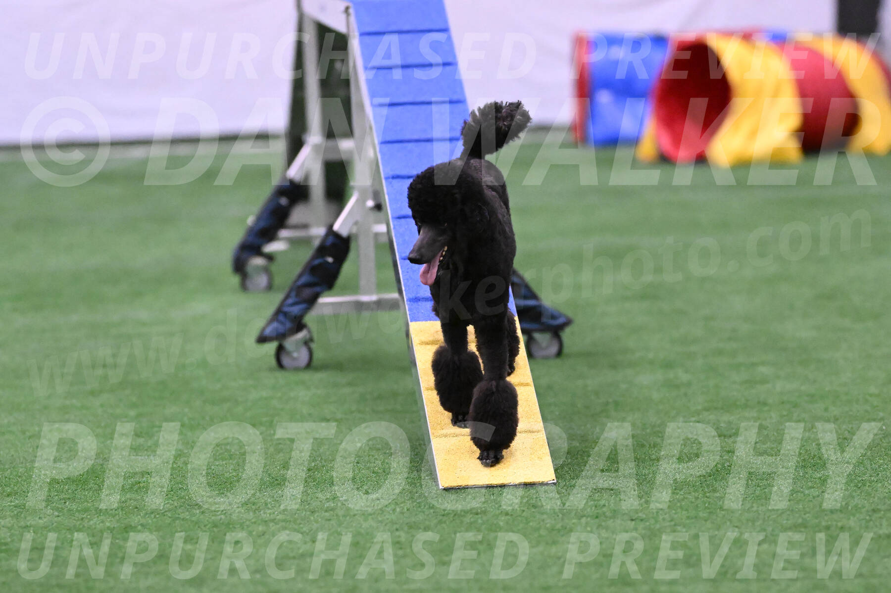 Finn-Madison-Canton-23042
