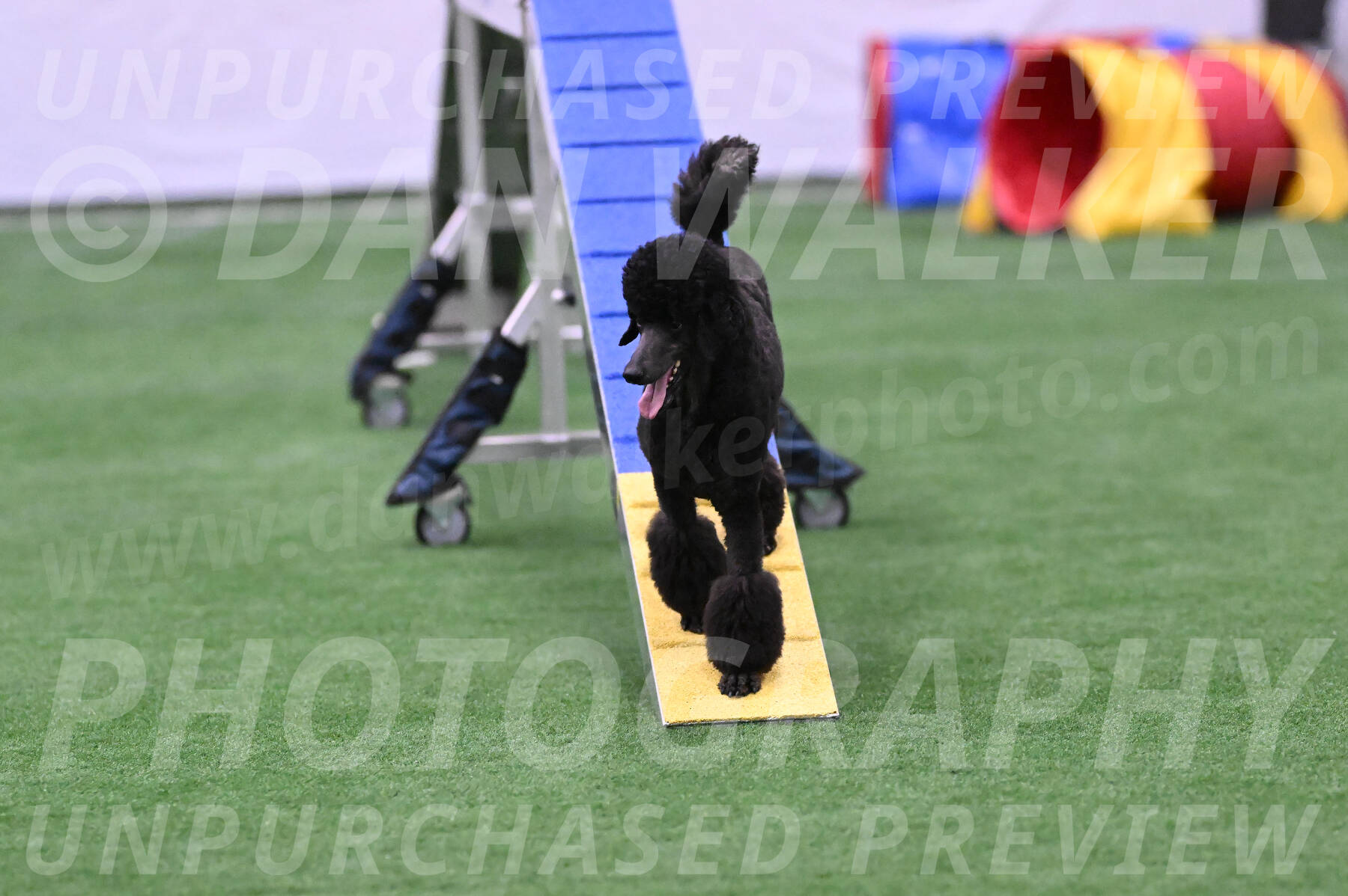Finn-Madison-Canton-23043