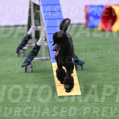 Finn-Madison-Canton-23043