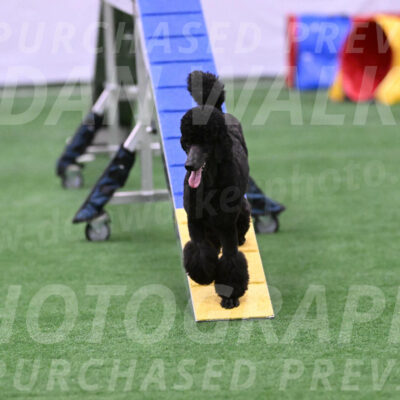 Finn-Madison-Canton-23044