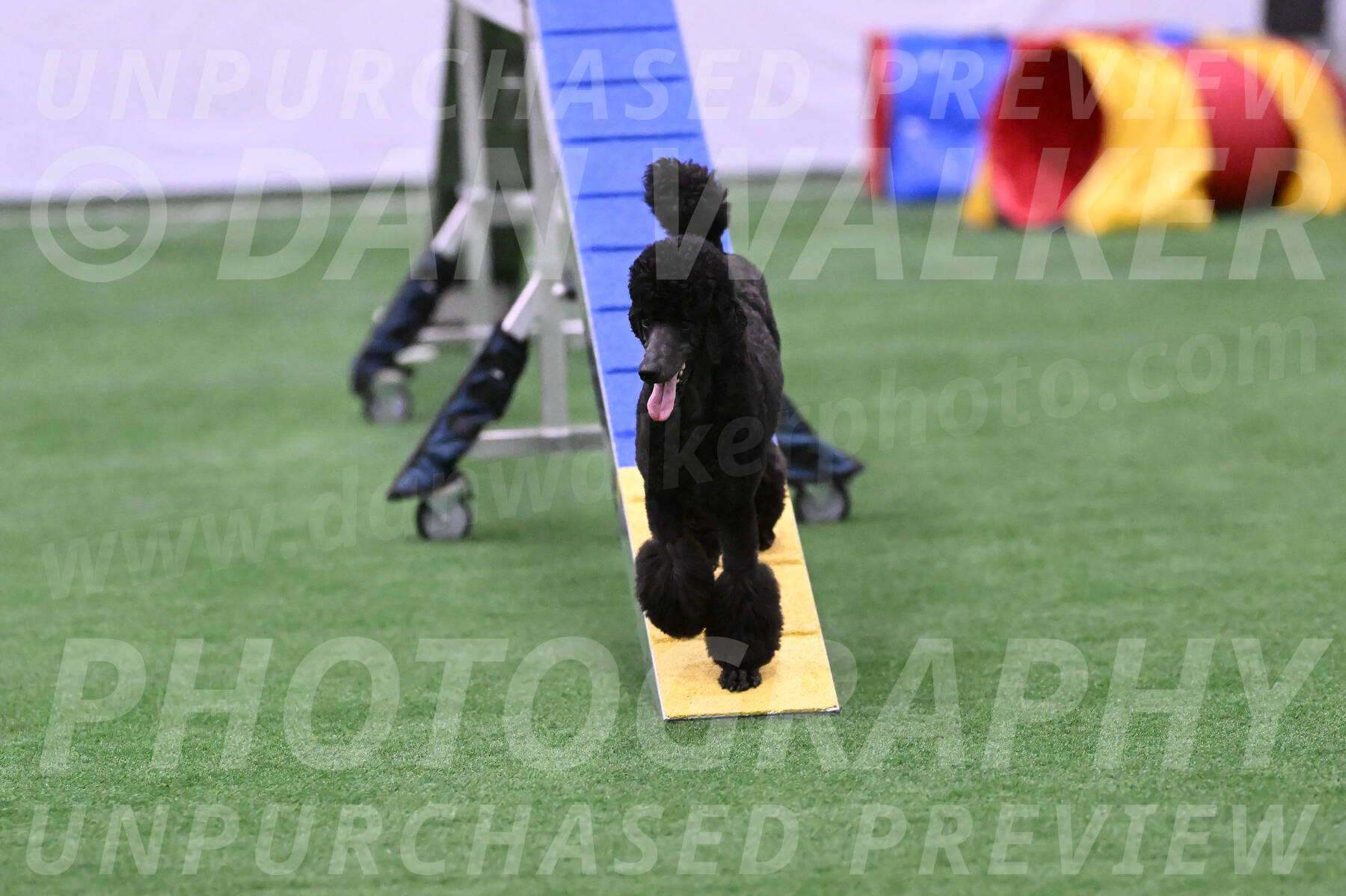 Finn-Madison-Canton-23044