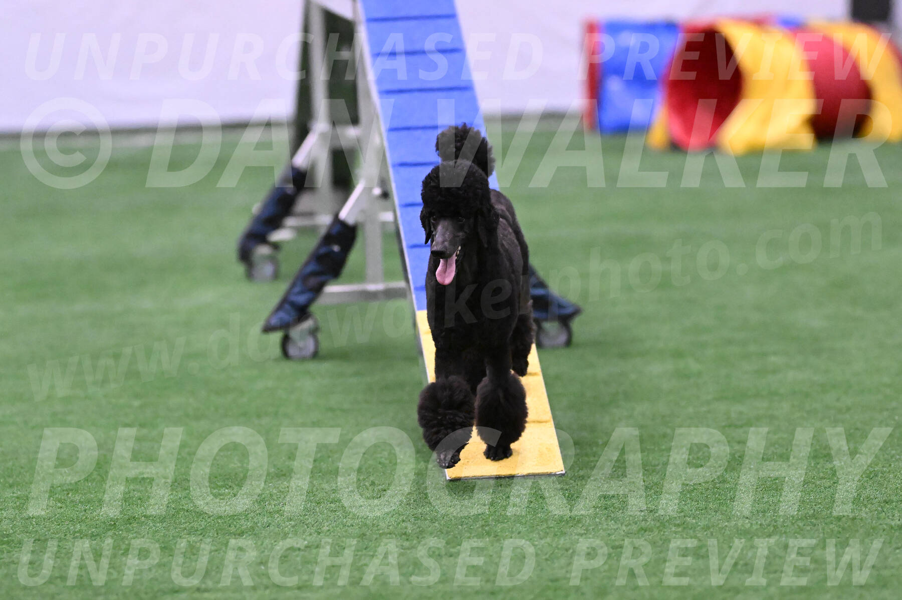 Finn-Madison-Canton-23045