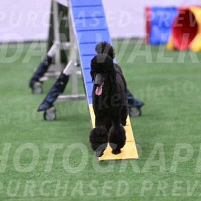 Finn-Madison-Canton-23045