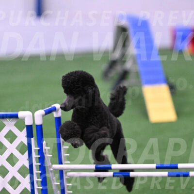 Finn-Madison-Canton-23046