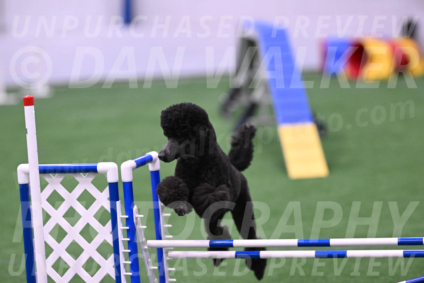 Finn-Madison-Canton-23046