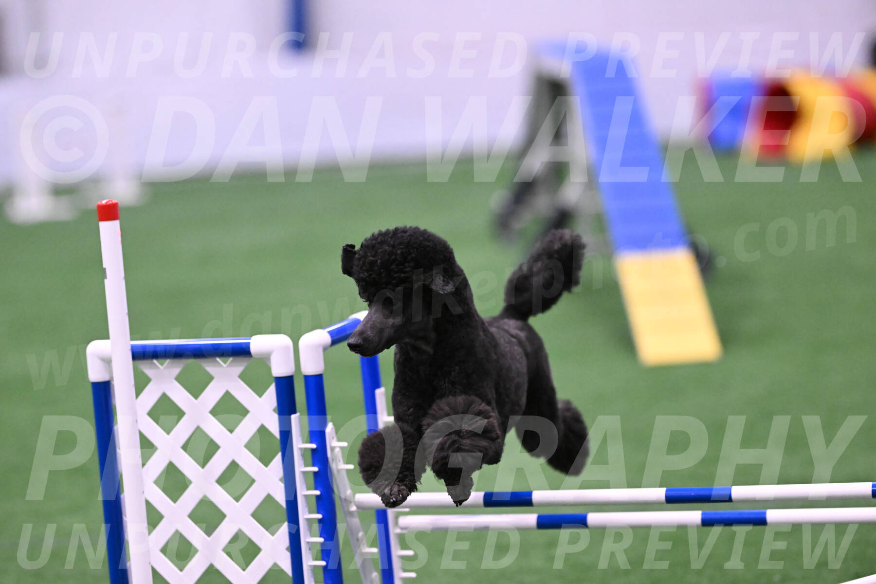 Finn-Madison-Canton-23047