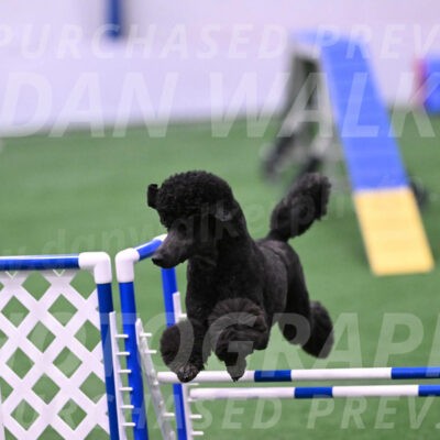 Finn-Madison-Canton-23047