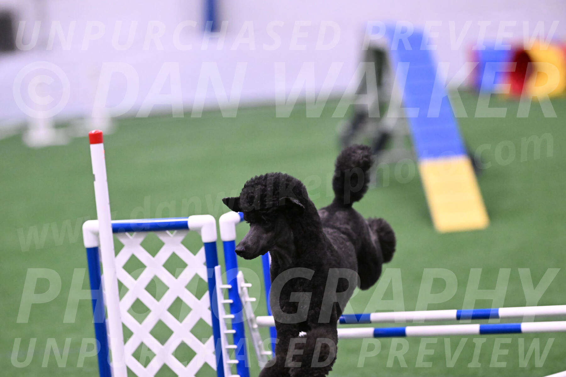 Finn-Madison-Canton-23048