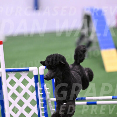Finn-Madison-Canton-23048