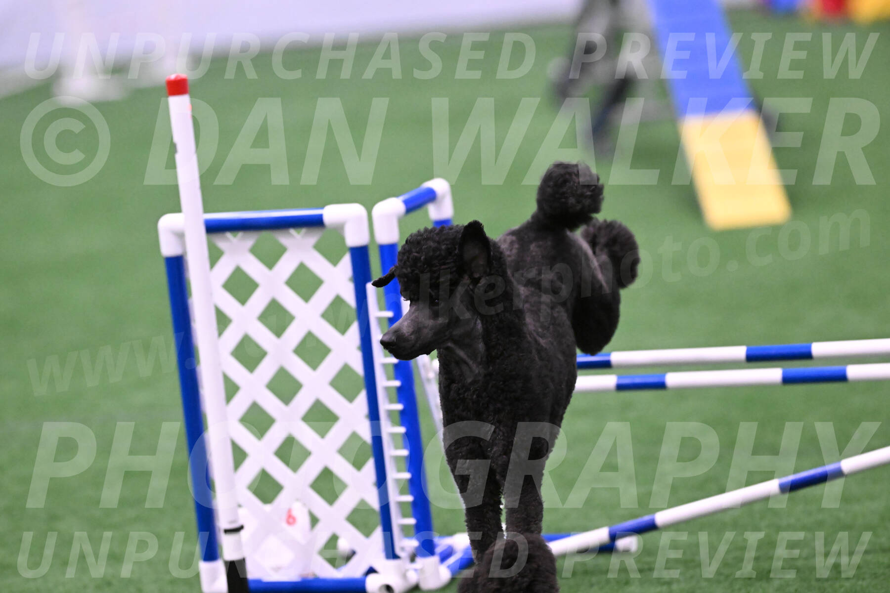 Finn-Madison-Canton-23049
