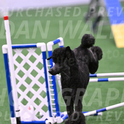 Finn-Madison-Canton-23049