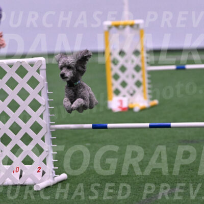Fizz-Lori-Bieber-05249