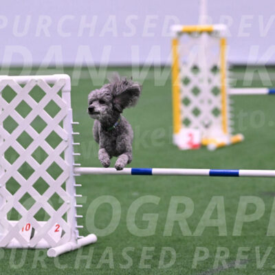 Fizz-Lori-Bieber-05257