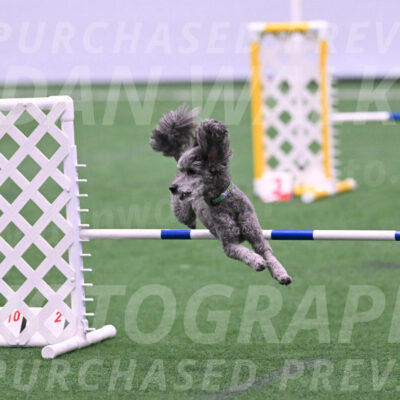 Fizz-Lori-Bieber-05280