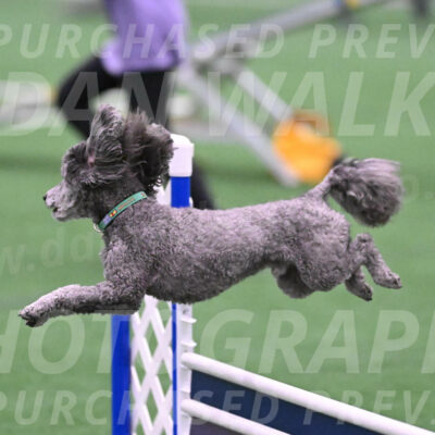 Fizz-Lori-Bieber-05291