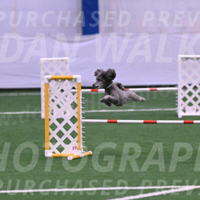 Fizz-Lori-Bieber-05295