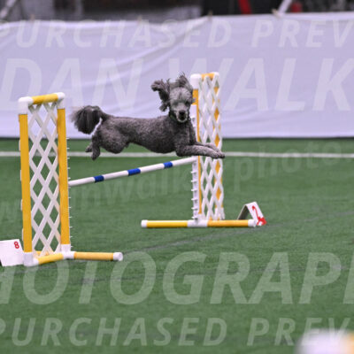 Fizz-Lori-Bieber-05383