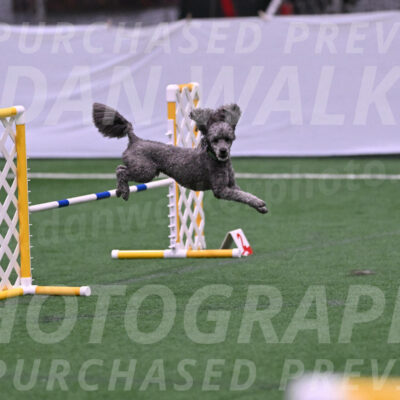 Fizz-Lori-Bieber-05384