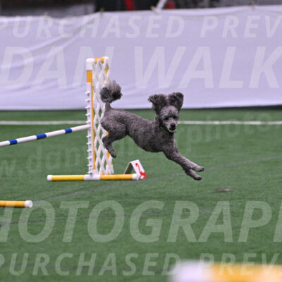 Fizz-Lori-Bieber-05385