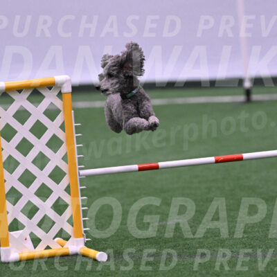 Fizz-Lori-Bieber-05389