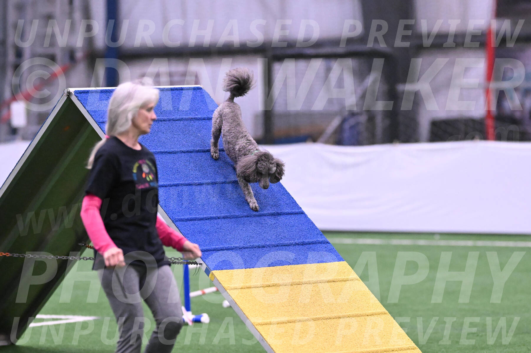 Fizz-Lori-Bieber-05614
