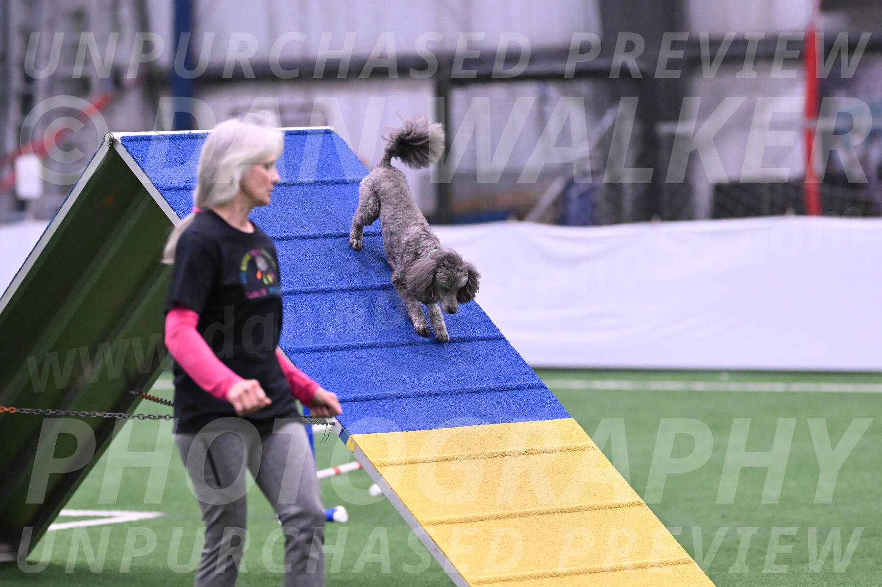 Fizz-Lori-Bieber-05615