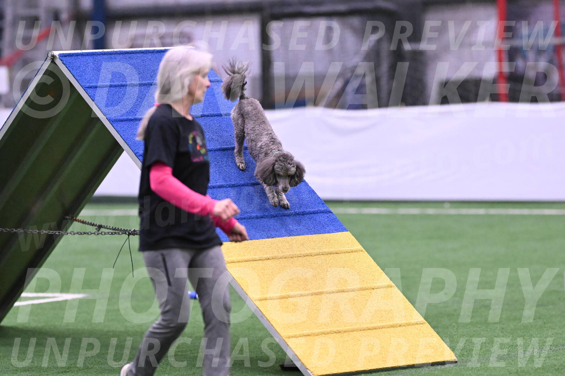 Fizz-Lori-Bieber-05618