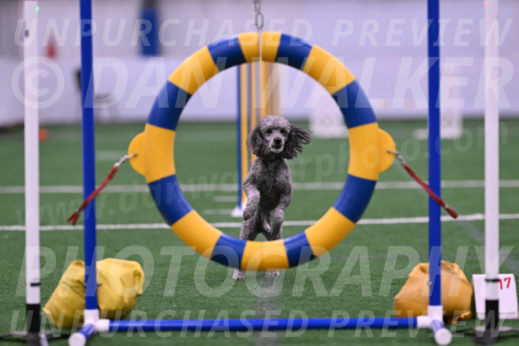 Fizz-Lori-Bieber-05672