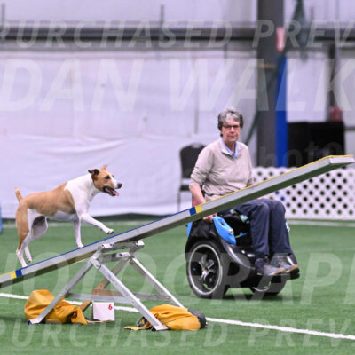 Galadocious-Jeanne-Fogarty-28411