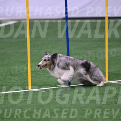 Hatter-Cherie-OConnor-06055