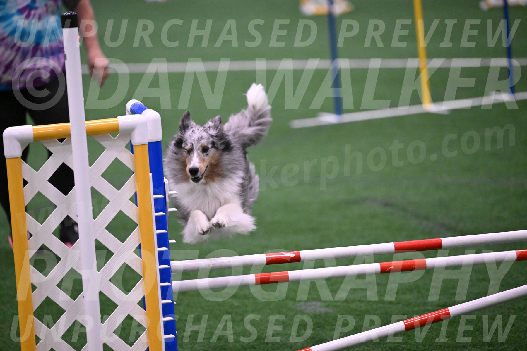 Hatter-Cherie-OConnor-06079