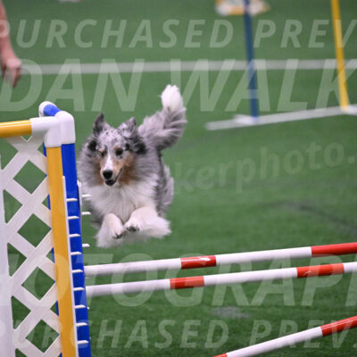 Hatter-Cherie-OConnor-06079