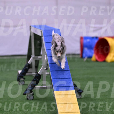 Hatter-Cherie-OConnor-06092