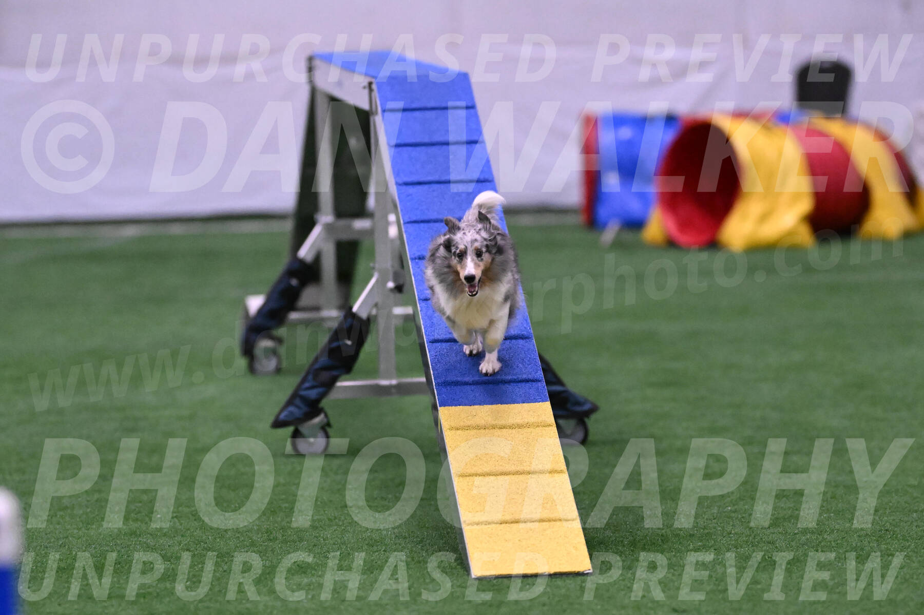 Hatter-Cherie-OConnor-06094