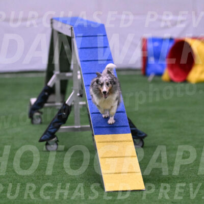 Hatter-Cherie-OConnor-06094