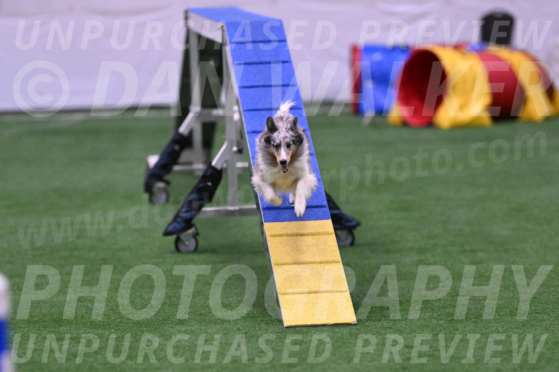 Hatter-Cherie-OConnor-06095