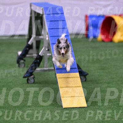 Hatter-Cherie-OConnor-06095