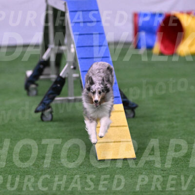Hatter-Cherie-OConnor-06096