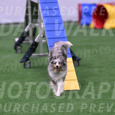 Hatter-Cherie-OConnor-06097