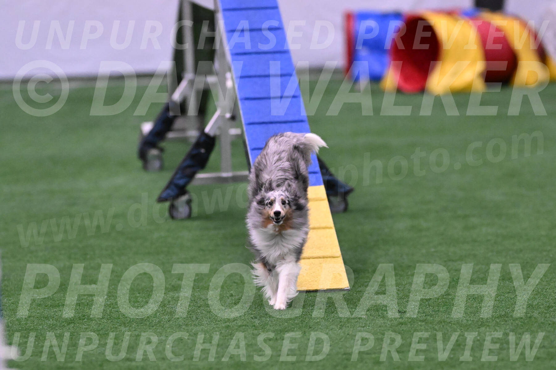 Hatter-Cherie-OConnor-06097