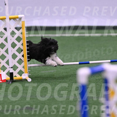 Henry-Ruth-Drew-02069