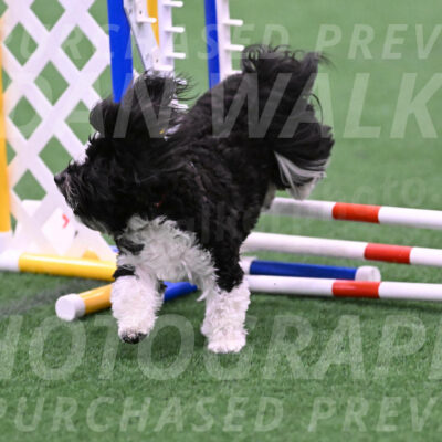Henry-Ruth-Drew-02075