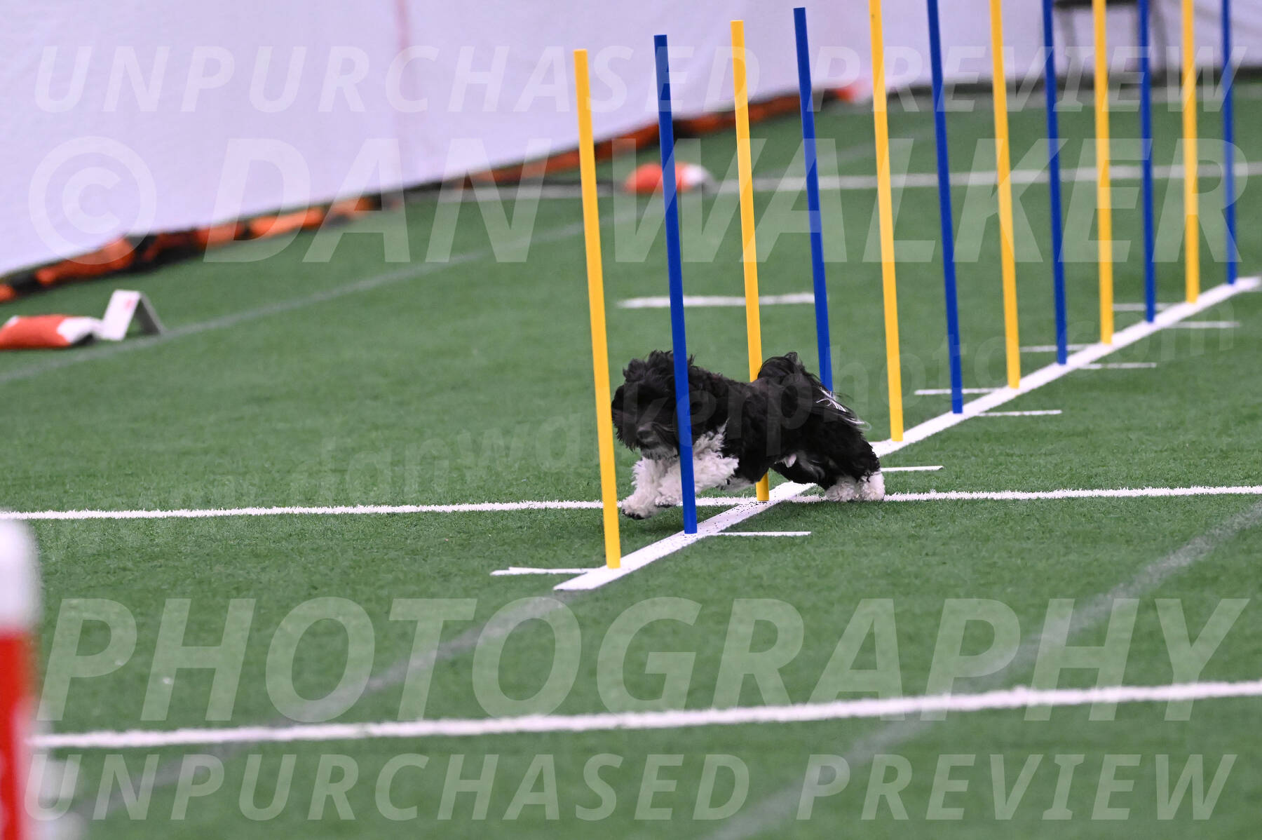 Henry-Ruth-Drew-02082